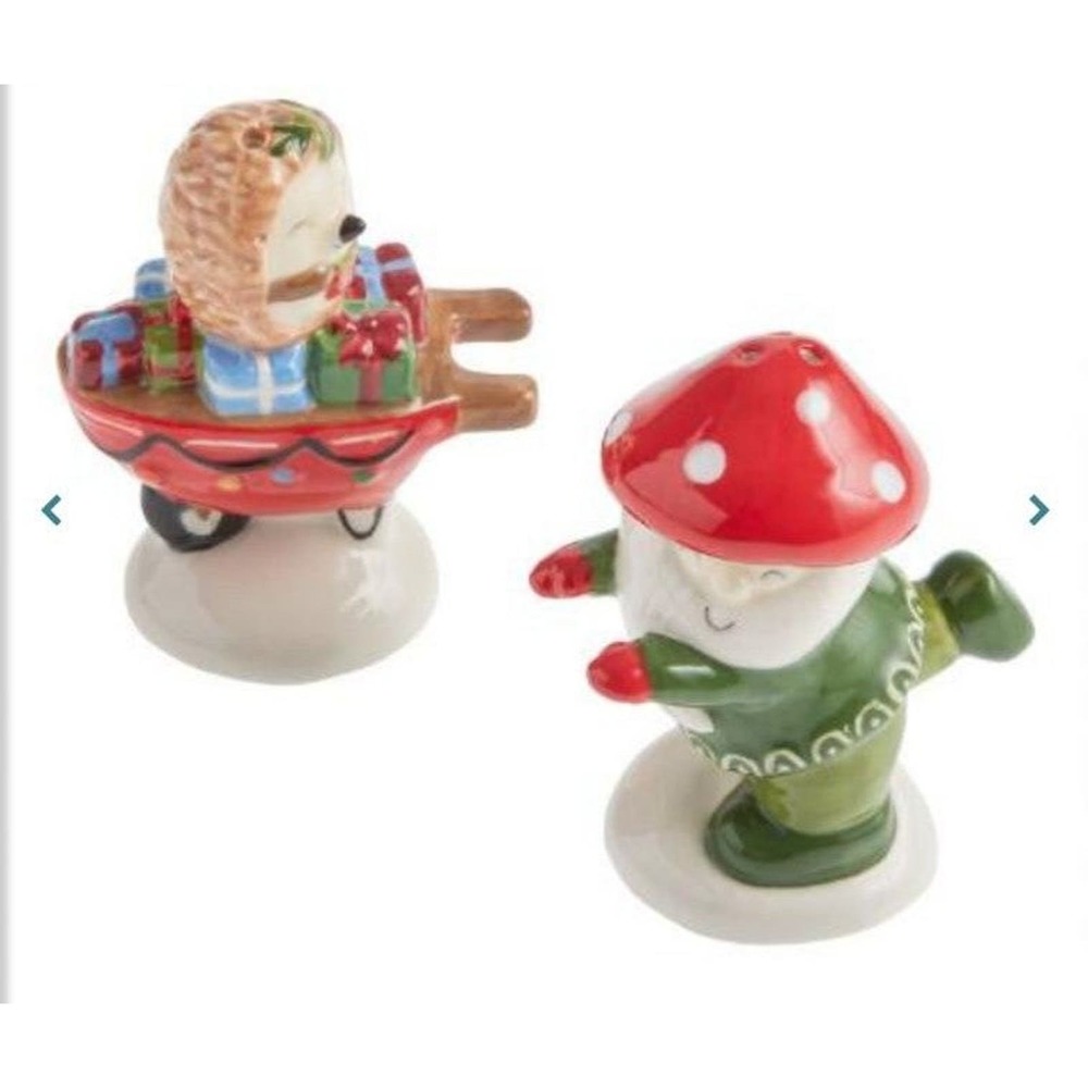 Salt and pepper shaker kitchen pair hedgehog & gnome woodland forest cottagecore